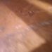 Profile Picture of Digner Joseph (@digner.joseph.3) on Facebook