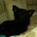 Profile Picture of Thomas Haluska (@thomas.haluska.54) on Facebook