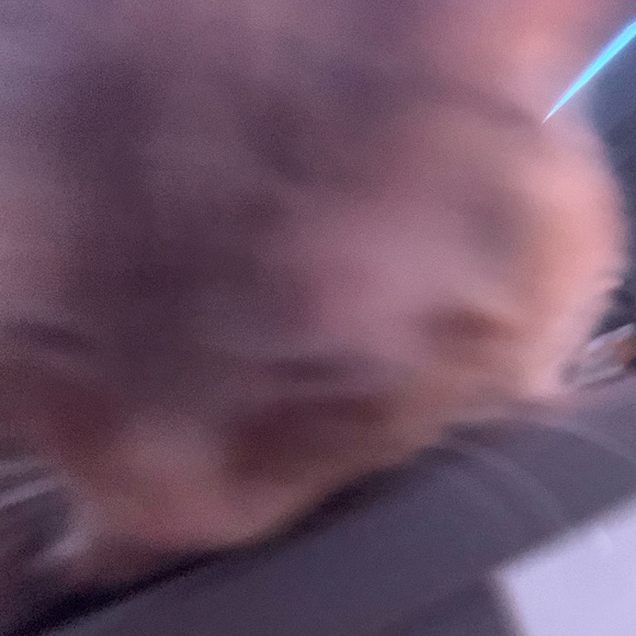 Profile Picture of Benjamin Fox (@traveller147) on Poshmark