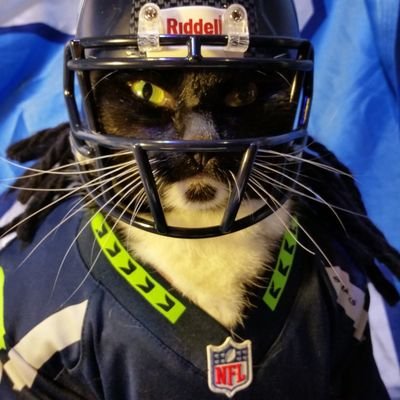 Profile Picture of Seattle Sea-Cats (@@suedeHQ) on Twitter