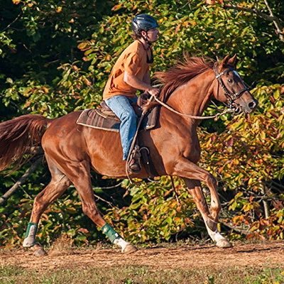 Profile Picture of Michael Carraway (@Michael04151857) on Twitter