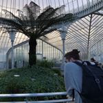 Profile Picture of Jordan Halliday (@infinity_milk) on Instagram