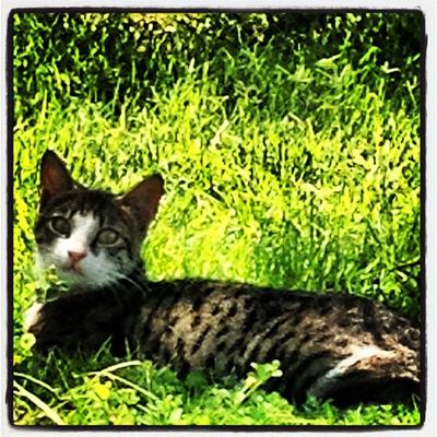 Profile Picture of Stuart Bowles (@similarovira19) on Twitter