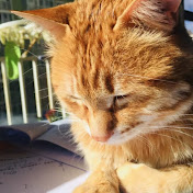 Profile Picture of Tina Zhao (@tinazhao8950) on Youtube