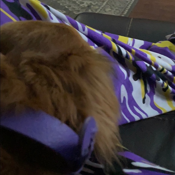 Profile Picture of Ryley Eggink (@ryleyeggink) on Poshmark