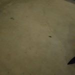 Profile Picture of Christopher Salinas (@christophersalinas84) on Instagram