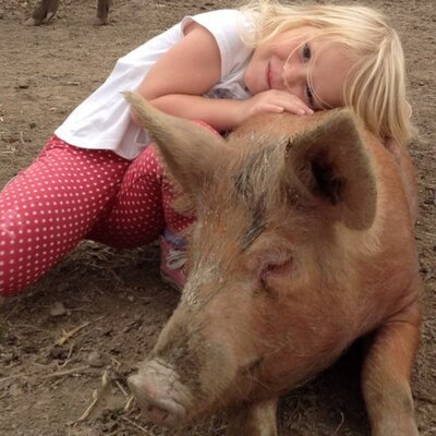 Profile Picture of Michele Baldock (@michelebaldock) on Twitter