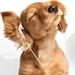 Profile Picture of afeo Santhumayor (@afeosanthumayor) on Pinterest