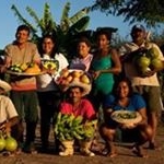 Profile Picture of Nelson Borges de Barros (@nelsonborgesdebarros) on Instagram