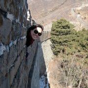 Profile Picture of Jenny Chou (@jennyc124) on Pinterest
