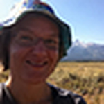 Profile Picture of Robin Wilson (@ormondbeach) on Flickr