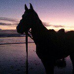 Profile Picture of Alesha Lea Adkins (@adkins_alesha) on Instagram