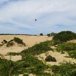 Profile Picture of Ryan Grauer (@killercudah) on Instagram