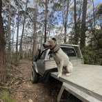 Profile Picture of Dominic O'Brien (@dominic.o.brien.2025) on Facebook