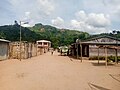 Profile Picture of Andrakata - Wikipediaon Wikipedia