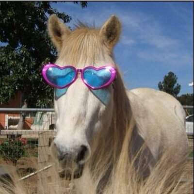 Profile Picture of Isabelle Allen (@IsabelleAllen13) on Twitter