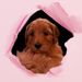 Profile Picture of Geralda van Putten-Jonker (@geraldajonker) on Pinterest