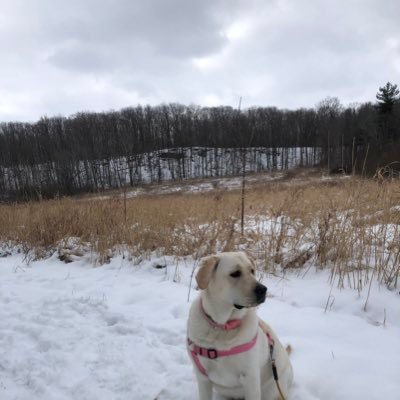 Profile Picture of Paul Zablocki (@PaulZablocki) on Twitter