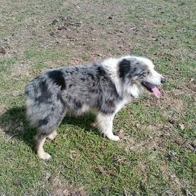 Stacy Ivery - Pinterest Profile Picture of Stacy Ivery (@sdivery1) on Pinterest