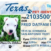 Profile Picture of Gilbert Moreno (@gilbertmoreno5074) on Youtube