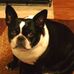 Profile Picture of Thomas Shinkle (@thomas.shinkle.9) on Facebook