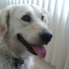 Profile Picture of Luke Konjarevich (@kidgamer86190) on Twitter