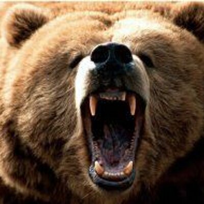 Profile Picture of Nick Bartz (@@Bartzy1) on Twitter