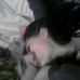 Profile Picture of Amanda Danilo (@amanda.danilo.54) on Facebook