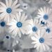 Profile Picture of Loretta Robbins (@ljrnov1965) on Pinterest