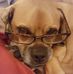 Profile Picture of Penny Nichols Aronson (@Penny-Nichols-Aronson) on Facebook