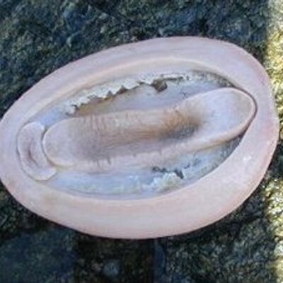 Profile Picture of Keith Edgar (@irish_pinheads) on Twitter