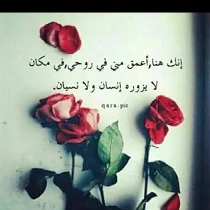 Profile Picture of محمد (@bernoussibernous2) on Tiktok