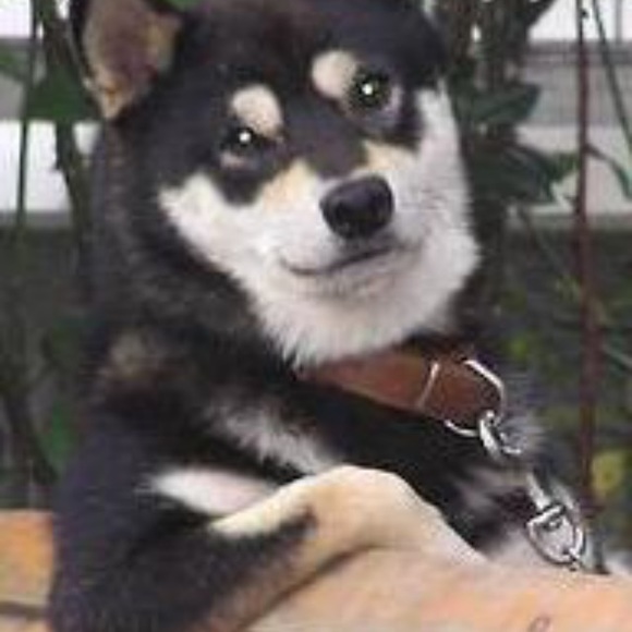 Profile Picture of Bryan Koehler (@bryank132) on Poshmark