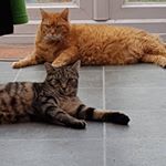 Profile Picture of joy (@joytanyaholliday) on Instagram