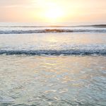 Profile Picture of Cathy Rosenthal (@cathy_rosenthal) on Instagram