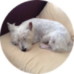 Profile Picture of Randall Hoon (@hongyaotong) on Instagram