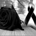 Profile Picture of Marlene Jimenez (@marlene.jimenez.31521301) on Facebook