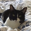 Profile Picture of Paul Burrows (@@paulburrows1) on Tiktok
