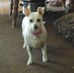 Profile Picture of Shirley Jinks (@shirley.jinks.79) on Facebook