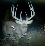 Profile Picture of Jimmy Loved (@Jimmy-Loved) on Facebook