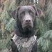 Profile Picture of John Sigler (@john.sigler.167) on Facebook