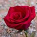 Profile Picture of Geneva Groves (@geneva.groves.5) on Facebook