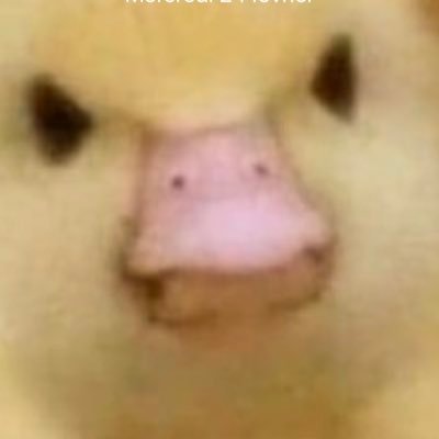 Profile Picture of Alec David Lamoureux (@alec_lamoureux) on Twitter