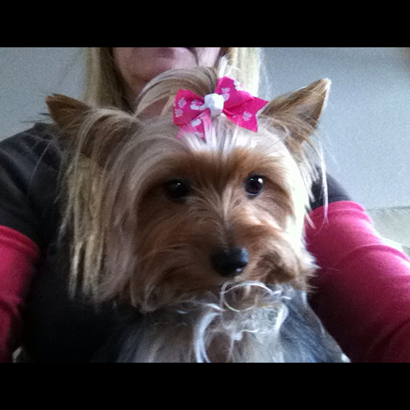 Profile Picture of Joey Yoshimura (@calidoodle) on Poshmark