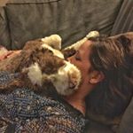 Profile Picture of Christy Bauhs (@tuttlebauhs) on Instagram