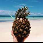 Profile Picture of Mark Esteves (@mark.esteves) on Instagram