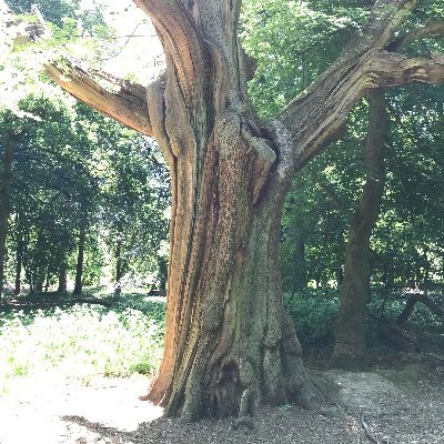 Felicia Cheung - Twitter Profile Picture of Felicia Cheung (@felix_oshi) on Twitter