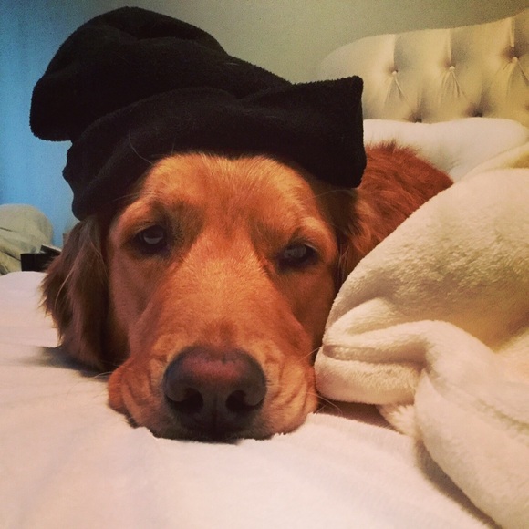 Profile Picture of Lauren Wehrly (@corona01) on Poshmark