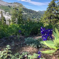 Profile Picture of Nora Weaver (@nora-weaver-6) on Quora