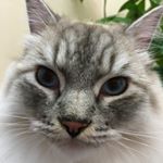 Suzanne Willetts - Instagram Profile Picture of Suzanne Willetts (@scwilletts) on Instagram